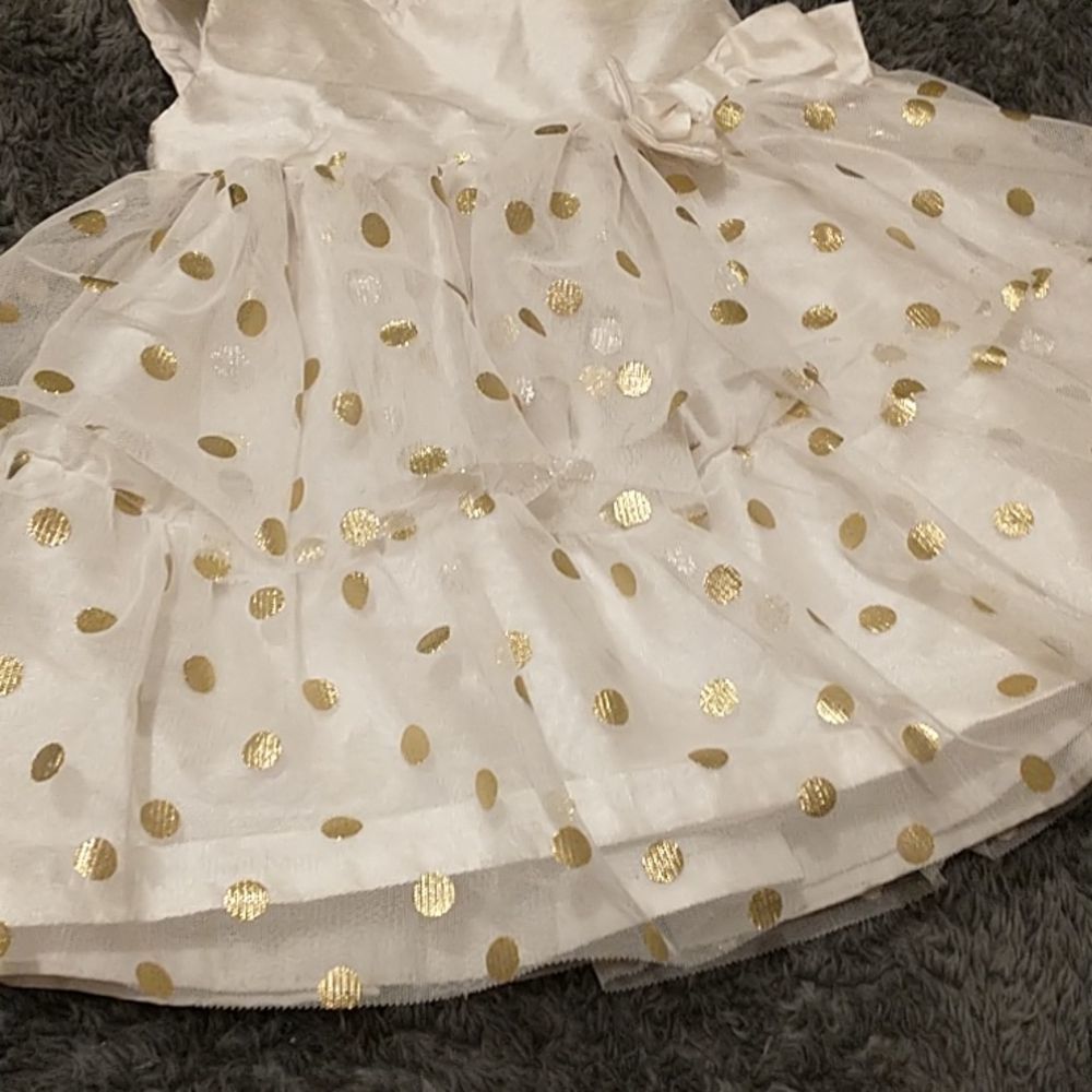 Ivory and Gold Polka Dot Tulle Dress! - Picture 3 of 13